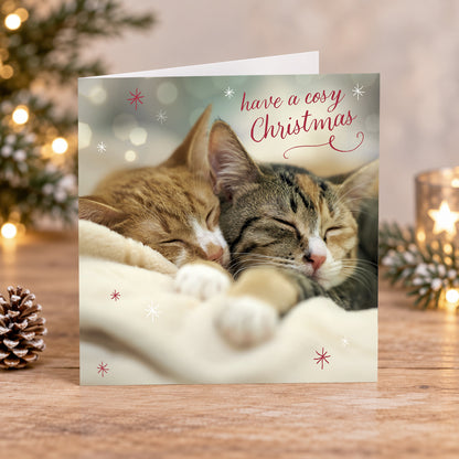 Christmas cuddles 10 cards