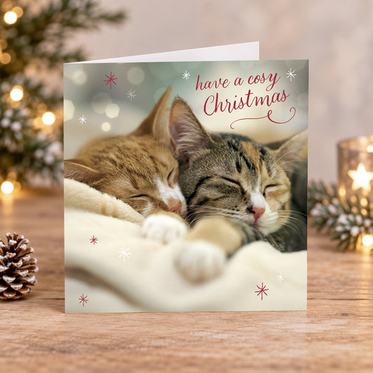 Christmas cuddles 10 cards