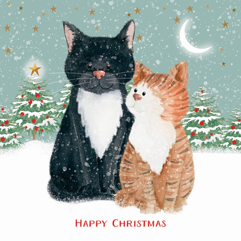 Best friends 10 cards