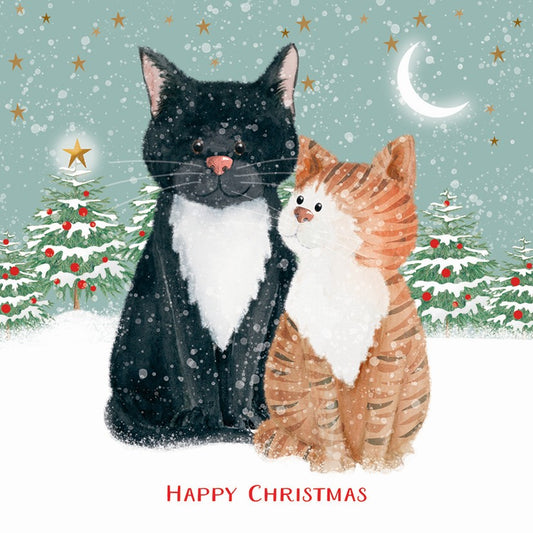 Best friends 10 cards