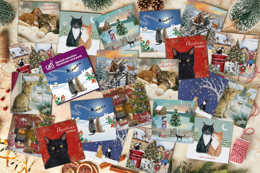 Cats Protection special selection card pack 20 cards