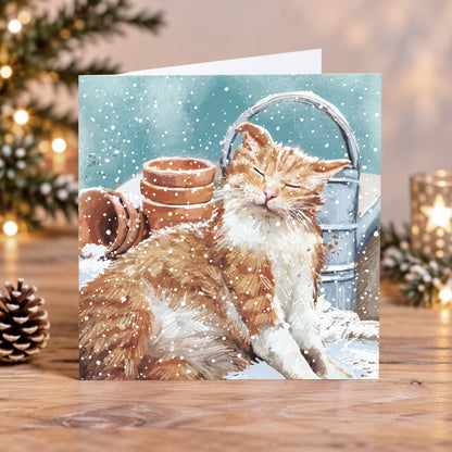 Happy cat 10 cards