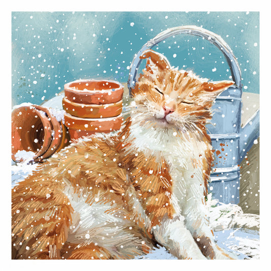 Happy cat 10 cards
