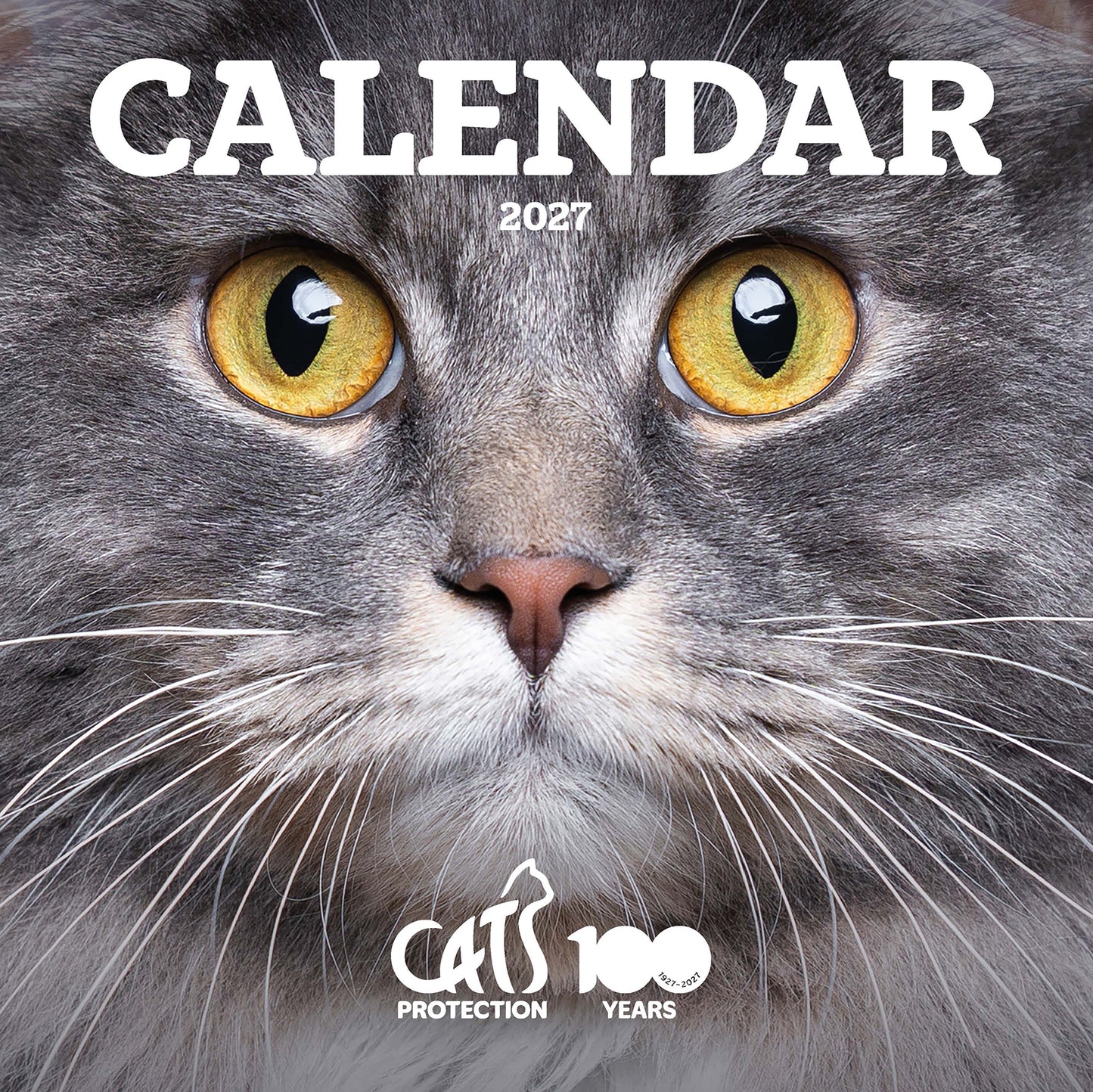 Cats Protection Calendar 2027