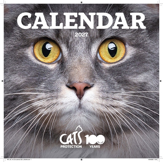Cats Protection cats calendar 2027