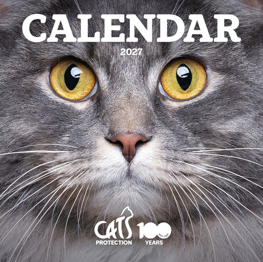 Cats Protection cats calendar 2027