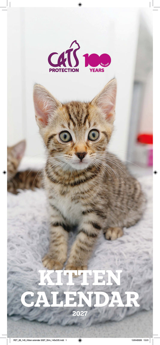 Cats Protection kittens slim calendar 2027