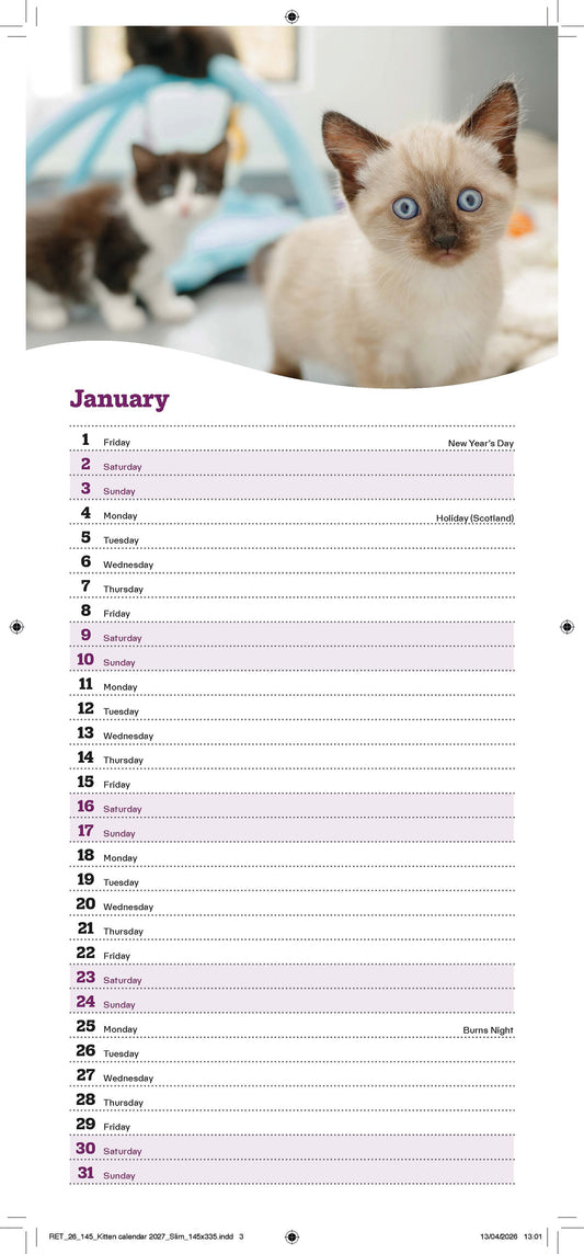 Cats Protection kittens slim calendar 2027