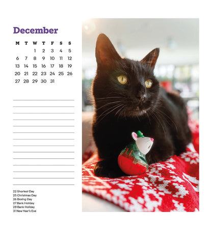 Cats Protection easel calendar 2027