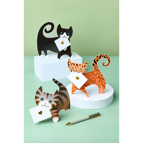 3D cat card offer