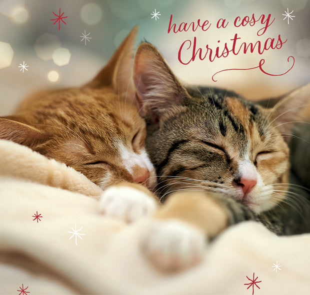 Cats Protection greetings cards