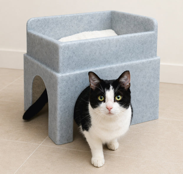 Gifts for your cat