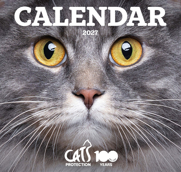 Cats Protection calendars