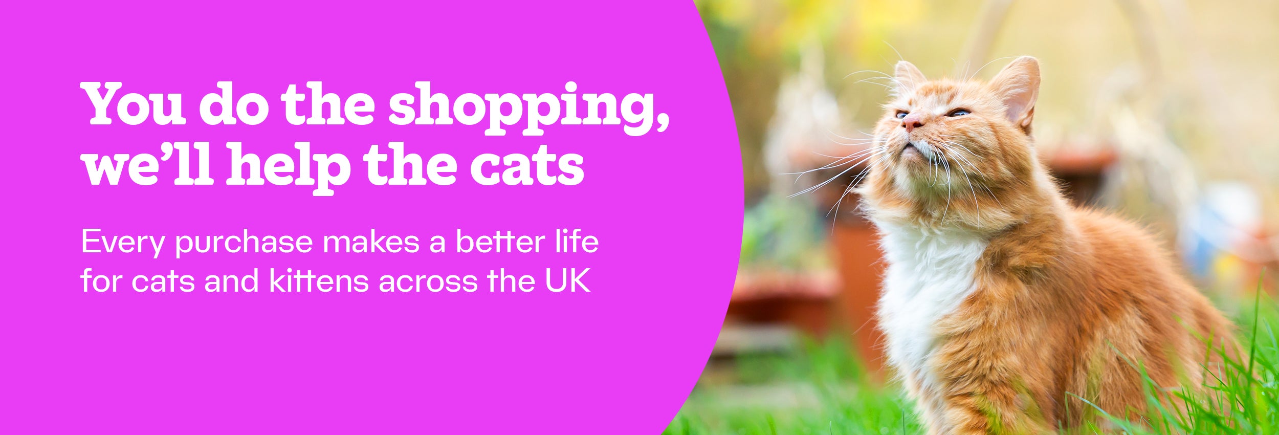 You do the shopping, we'll help the cats. Every purchase makes a better life for cats and kittens across the UK.